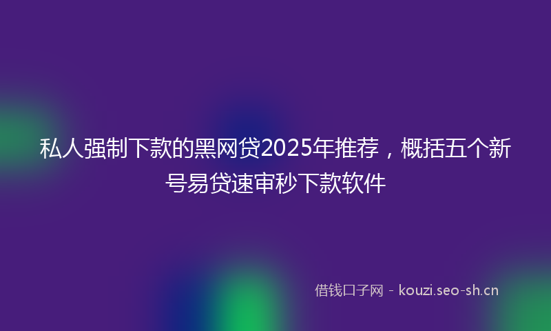 私人强制下款的黑网贷2025年推荐，概括五个新号易贷速审秒下款软件