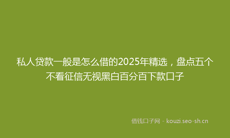 私人贷款一般是怎么借的2025年精选,盘点五个不看征信无视黑白百分百下款口子