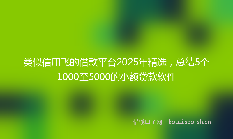 类似信用飞的借款平台2025年精选，总结5个1000至5000的小额贷款软件