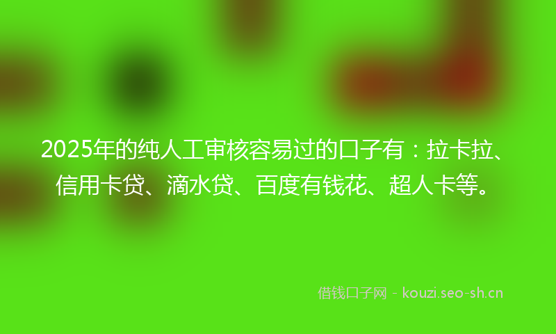 2025年的纯人工审核容易过的口子有:拉卡拉、信用卡贷、滴水贷、百度有钱花、超人卡等。