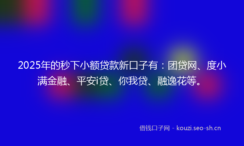 2025年的秒下小额贷款新口子有：团贷网、度小满金融、平安i贷、你我贷、融逸花等。