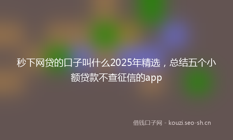 秒下网贷的口子叫什么2025年精选，总结五个小额贷款不查征信的app