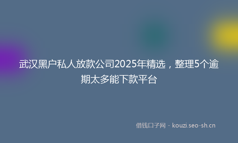 武汉黑户私人放款公司2025年精选，整理5个逾期太多能下款平台