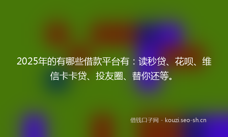 2025年的有哪些借款平台有：读秒贷、花呗、维信卡卡贷、投友圈、替你还等。