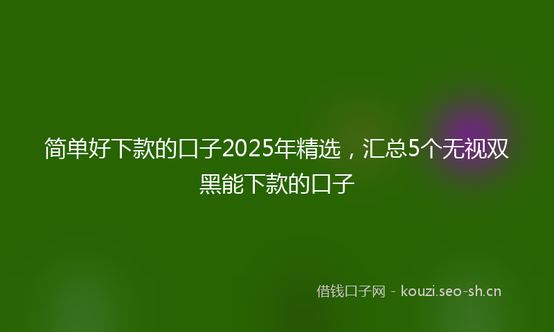 简单好下款的口子2025年精选，汇总5个无视双黑能下款的口子