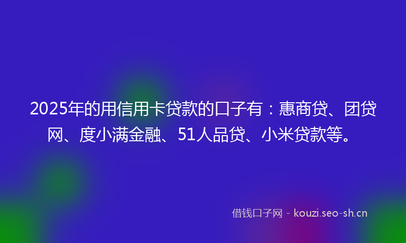 2025年的用信用卡贷款的口子有：惠商贷、团贷网、度小满金融、51人品贷、小米贷款等。