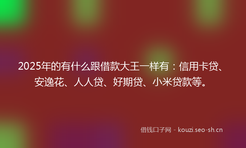 2025年的有什么跟借款大王一样有：信用卡贷、安逸花、人人贷、好期贷、小米贷款等。
