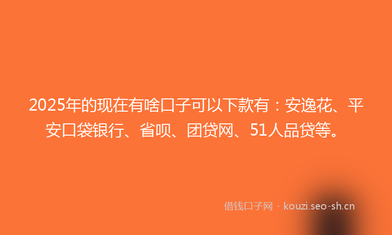 2025年的现在有啥口子可以下款有：安逸花、平安口袋银行、省呗、团贷网、51人品贷等。