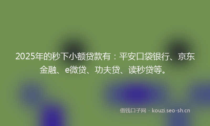 2025年的秒下小额贷款有：平安口袋银行、京东金融、e微贷、功夫贷、读秒贷等。