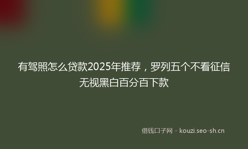 有驾照怎么贷款2025年推荐，罗列五个不看征信无视黑白百分百下款