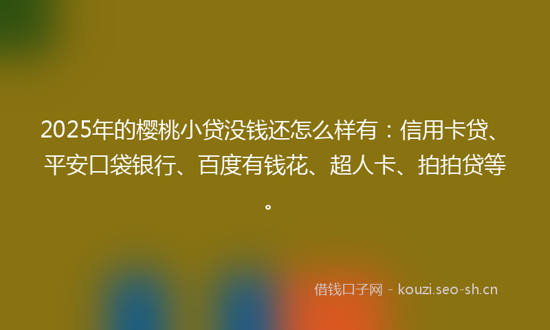 2025年的樱桃小贷没钱还怎么样有:信用卡贷、平安口袋银行、百度有钱花、超人卡、拍拍贷等。