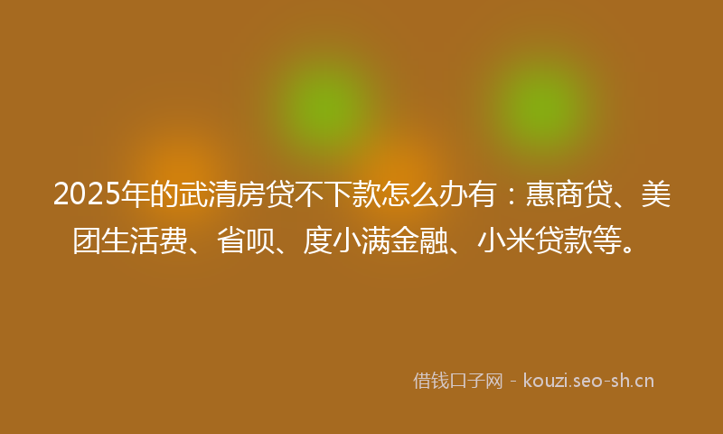 2025年的武清房贷不下款怎么办有：惠商贷、美团生活费、省呗、度小满金融、小米贷款等。