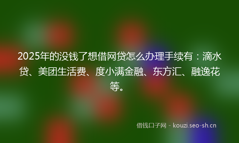 2025年的没钱了想借网贷怎么办理手续有：滴水贷、美团生活费、度小满金融、东方汇、融逸花等。