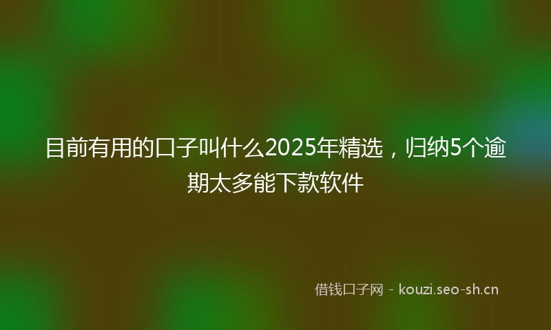 目前有用的口子叫什么2025年精选，归纳5个逾期太多能下款软件