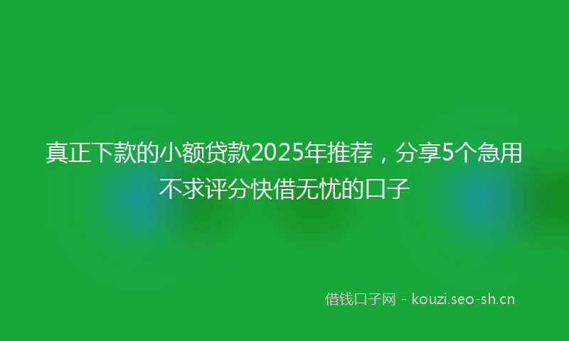 真正下款的小额贷款2025年推荐,分享5个急用不求评分快借无忧的口子