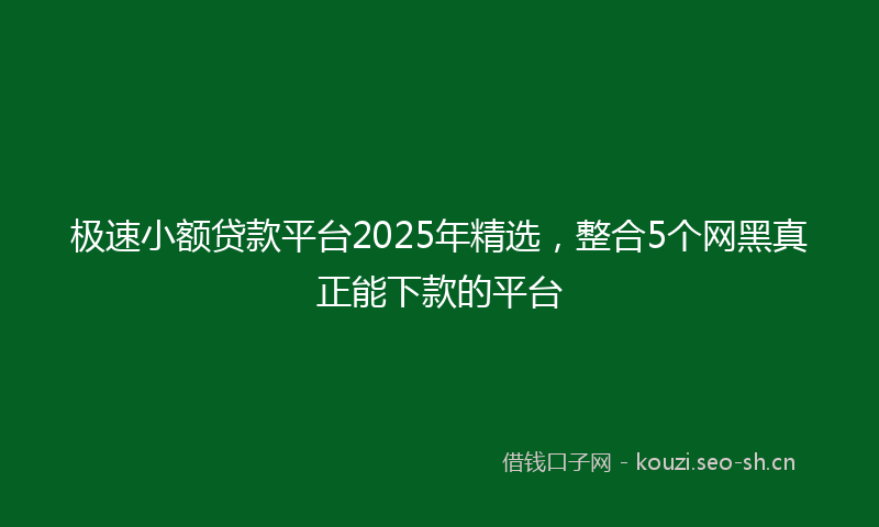 极速小额贷款平台2025年精选，整合5个网黑真正能下款的平台