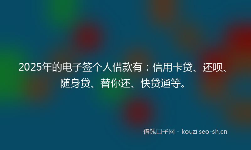 2025年的电子签个人借款有：信用卡贷、还呗、随身贷、替你还、快贷通等。