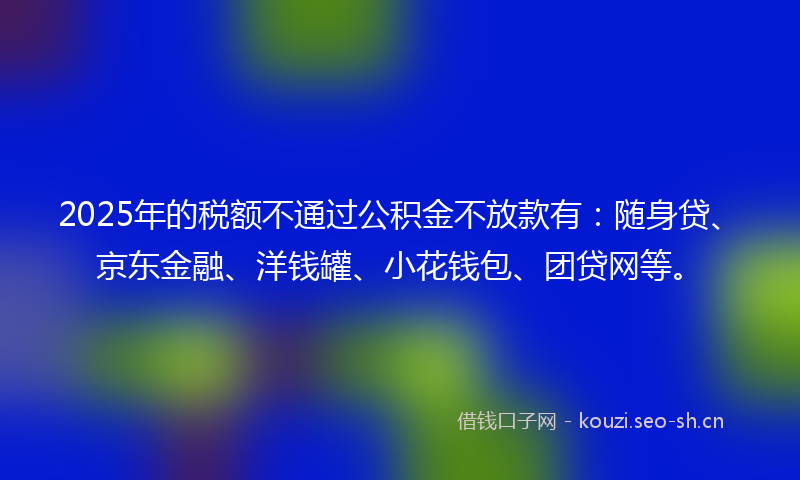 2025年的税额不通过公积金不放款有：随身贷、京东金融、洋钱罐、小花钱包、团贷网等。