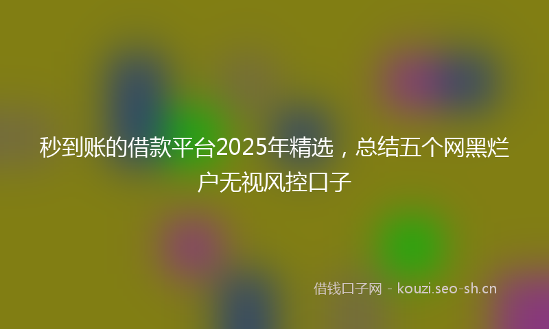 秒到账的借款平台2025年精选，总结五个网黑烂户无视风控口子