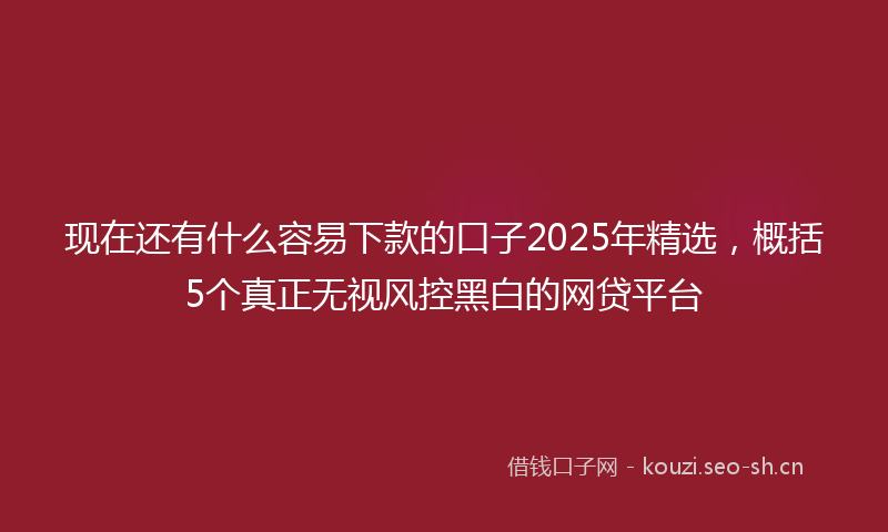 现在还有什么容易下款的口子2025年精选，概括5个真正无视风控黑白的网贷平台