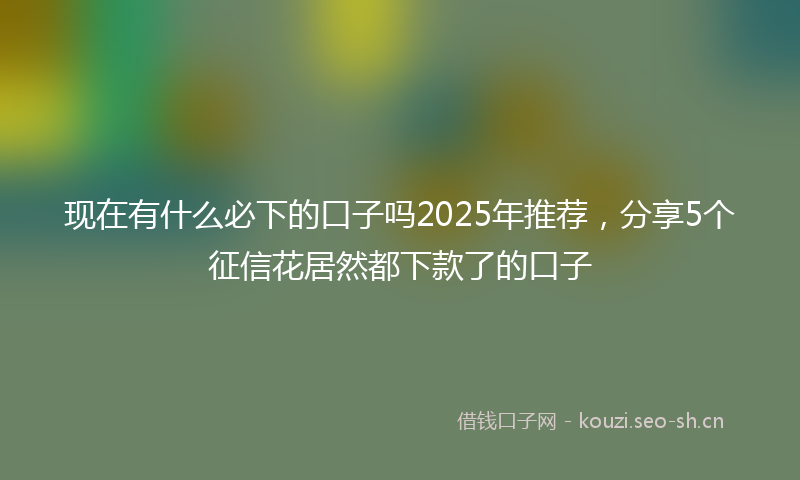 现在有什么必下的口子吗2025年推荐，分享5个征信花居然都下款了的口子