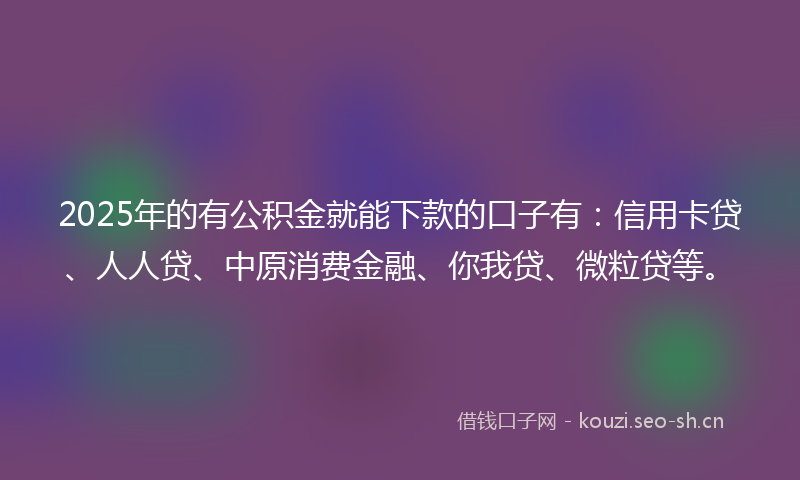 2025年的有公积金就能下款的口子有：信用卡贷、人人贷、中原消费金融、你我贷、微粒贷等。