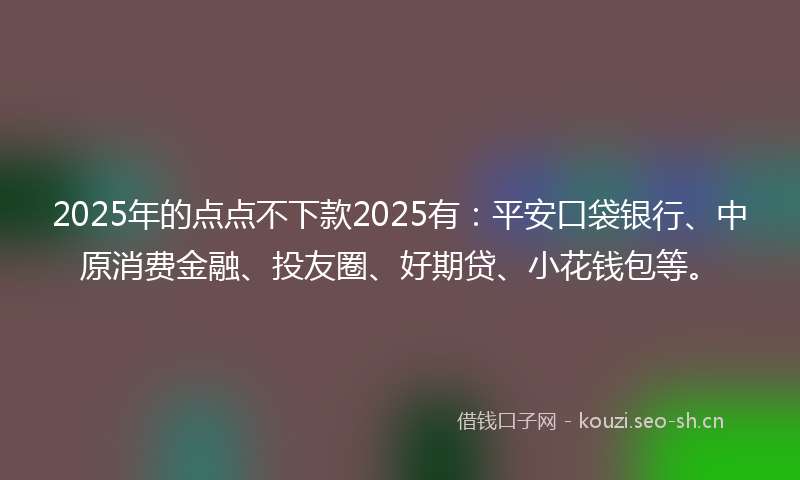 2025年的点点不下款2025有：平安口袋银行、中原消费金融、投友圈、好期贷、小花钱包等。