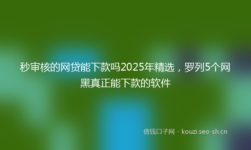 秒审核的网贷能下款吗2025年精选，罗列5个网黑真正能下款的软件