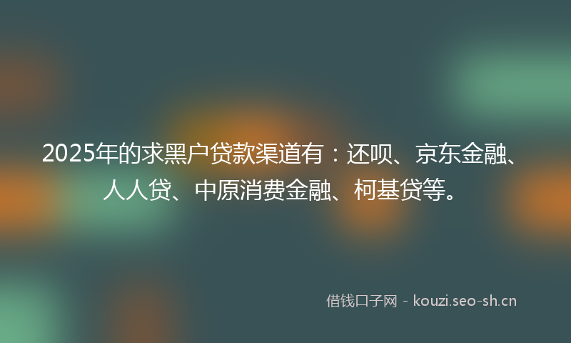 2025年的求黑户贷款渠道有：还呗、京东金融、人人贷、中原消费金融、柯基贷等。