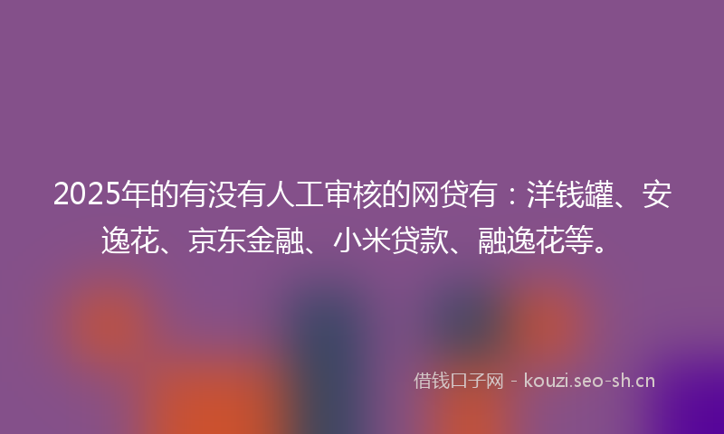 2025年的有没有人工审核的网贷有：洋钱罐、安逸花、京东金融、小米贷款、融逸花等。