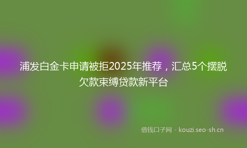 浦发白金卡申请被拒2025年推荐，汇总5个摆脱欠款束缚贷款新平台