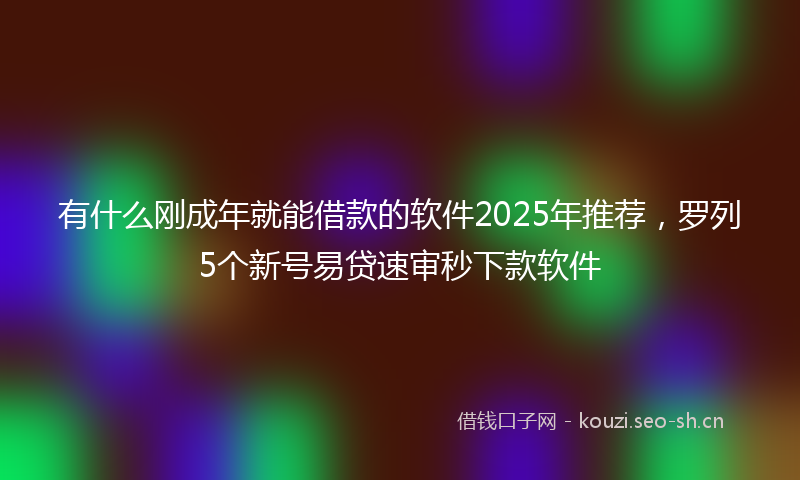 有什么刚成年就能借款的软件2025年推荐，罗列5个新号易贷速审秒下款软件