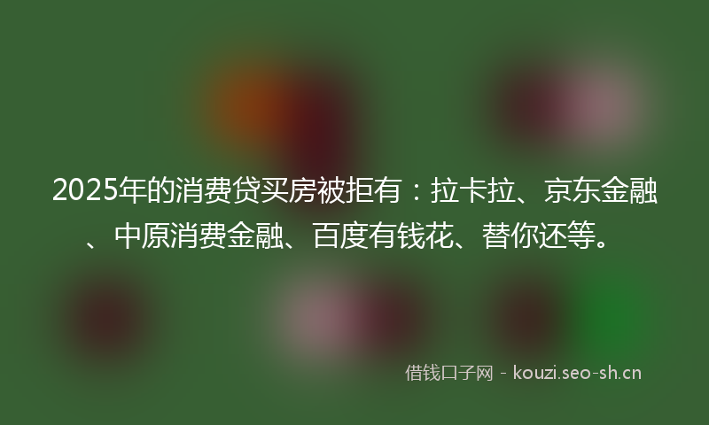 2025年的消费贷买房被拒有：拉卡拉、京东金融、中原消费金融、百度有钱花、替你还等。