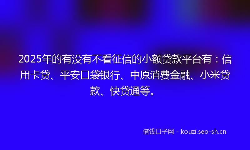 2025年的有没有不看征信的小额贷款平台有：信用卡贷、平安口袋银行、中原消费金融、小米贷款、快贷通等。