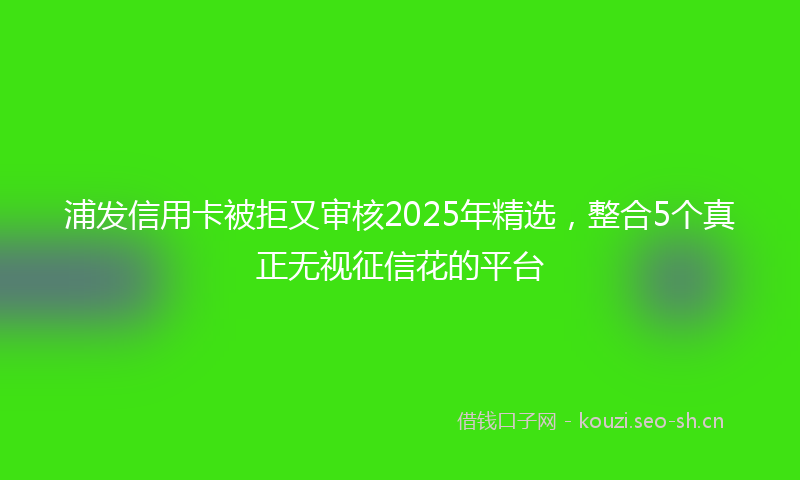 浦发信用卡被拒又审核2025年精选，整合5个真正无视征信花的平台
