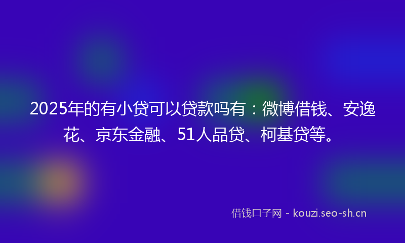 2025年的有小贷可以贷款吗有：微博借钱、安逸花、京东金融、51人品贷、柯基贷等。