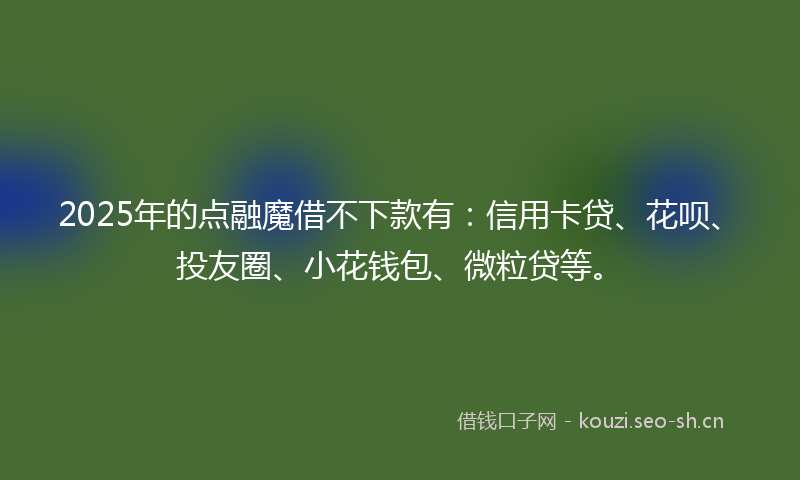 2025年的点融魔借不下款有：信用卡贷、花呗、投友圈、小花钱包、微粒贷等。