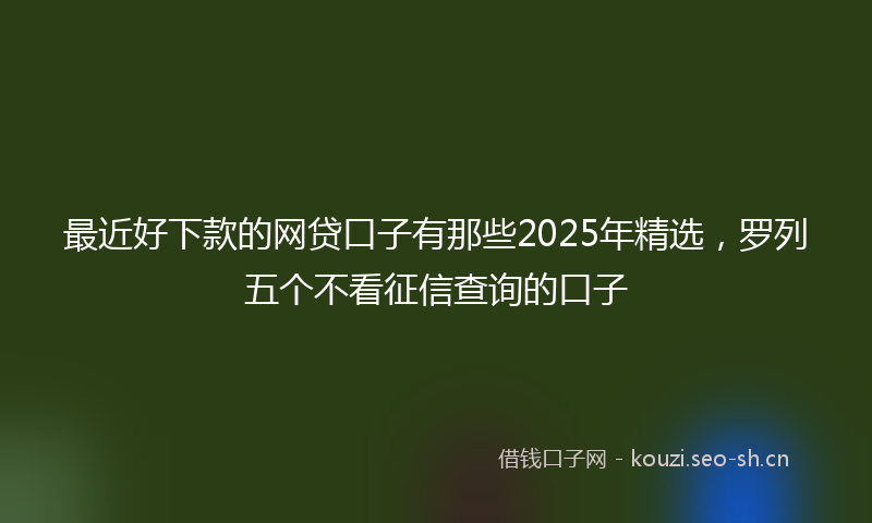 最近好下款的网贷口子有那些2025年精选，罗列五个不看征信查询的口子