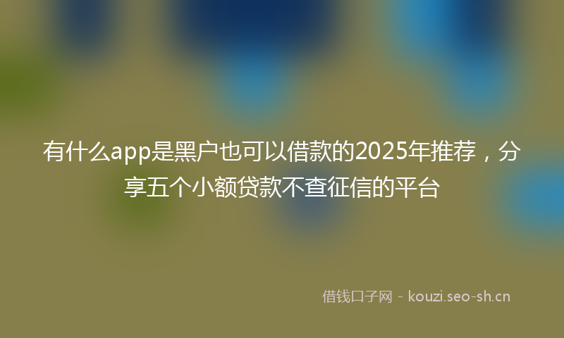 有什么app是黑户也可以借款的2025年推荐，分享五个小额贷款不查征信的平台