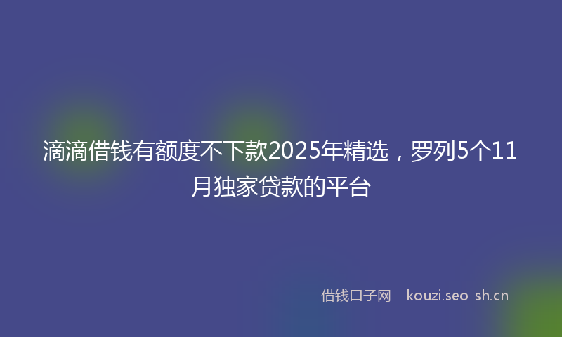 滴滴借钱有额度不下款2025年精选，罗列5个11月独家贷款的平台