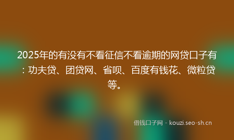 2025年的有没有不看征信不看逾期的网贷口子有：功夫贷、团贷网、省呗、百度有钱花、微粒贷等。