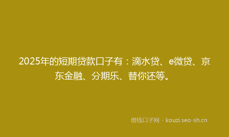 2025年的短期贷款口子有：滴水贷、e微贷、京东金融、分期乐、替你还等。
