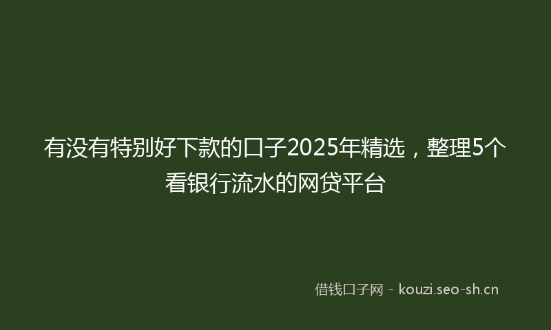 有没有特别好下款的口子2025年精选，整理5个看银行流水的网贷平台