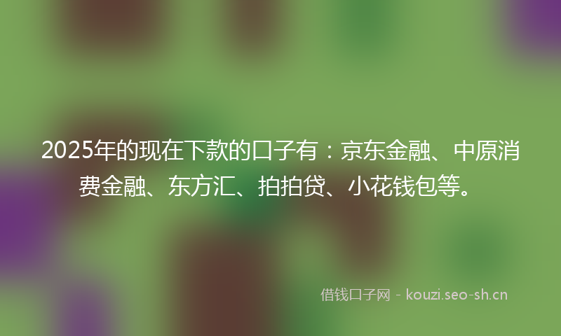 2025年的现在下款的口子有：京东金融、中原消费金融、东方汇、拍拍贷、小花钱包等。