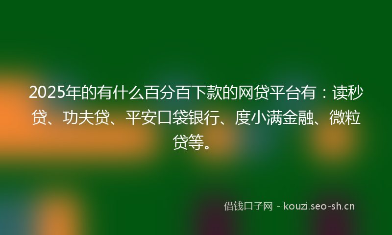 2025年的有什么百分百下款的网贷平台有：读秒贷、功夫贷、平安口袋银行、度小满金融、微粒贷等。