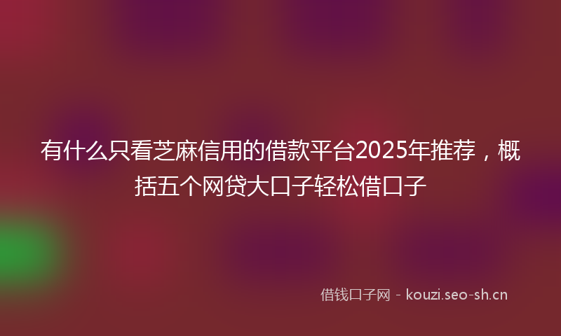 有什么只看芝麻信用的借款平台2025年推荐，概括五个网贷大口子轻松借口子