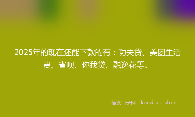 2025年的现在还能下款的有：功夫贷、美团生活费、省呗、你我贷、融逸花等。