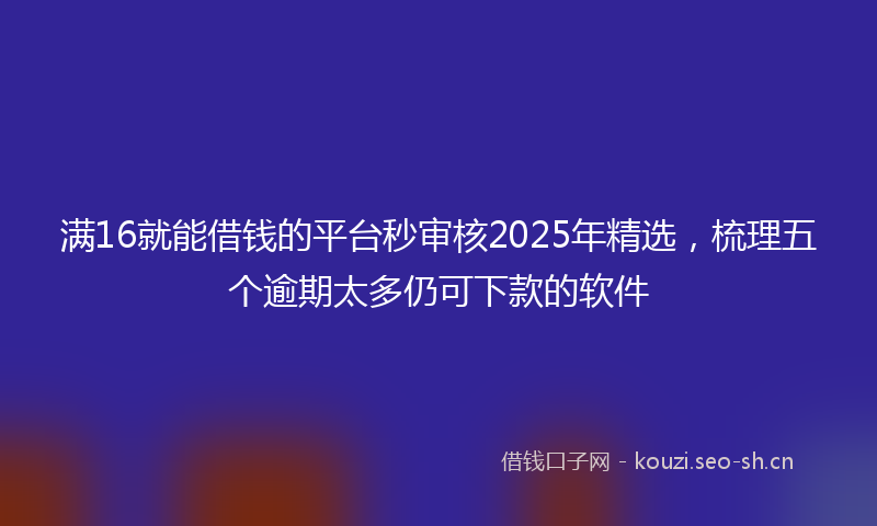 满16就能借钱的平台秒审核2025年精选，梳理五个逾期太多仍可下款的软件