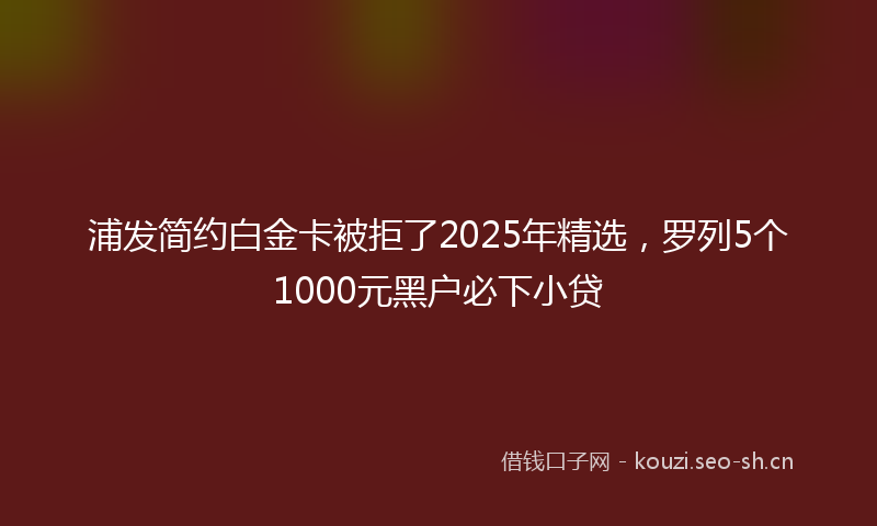 浦发简约白金卡被拒了2025年精选，罗列5个1000元黑户必下小贷