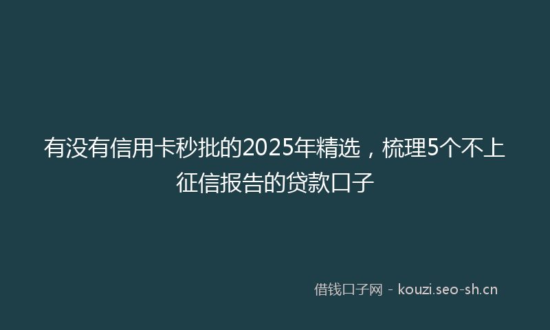 有没有信用卡秒批的2025年精选,梳理5个不上征信报告的贷款口子
